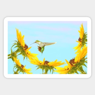 Ruby Throated Hummingbird and Sunflowers Sticker